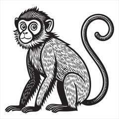 Obraz premium monkey Vector 
