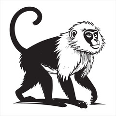monkey Vector 