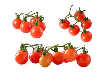 Bunch of fresh of red tomatoes with green stems on white background.