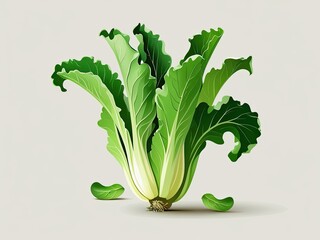 Fresh Green Romaine Lettuce Illustration for Culinary Designs