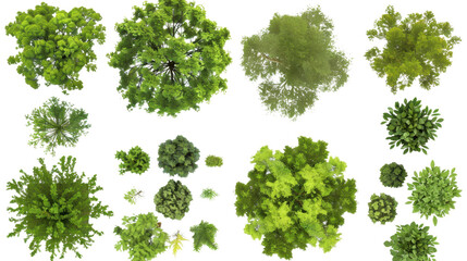 Top view of various green trees and plants on transparent background