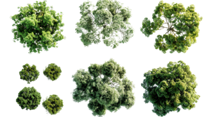 Top view of lush green trees with transparent background for architectural visualization