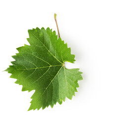 Fototapeta premium Grape leaf photography isolated on white background. Clipping path. Original shadow.