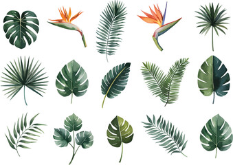 Fototapeta premium Watercolor Exotic tropical leaves Vector. Exotic plants, palm leaves, isolated on white background. Set of watercolor tropical leaves.