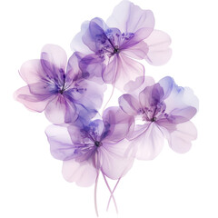 Fototapeta premium Ethereal Purple Floral Bouquet Isolated on Transparent Background