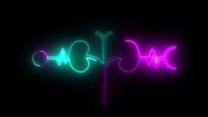 Glowing Human kidney icon animation. This renal system symbol is a neon kidney 4k  animation. The kidney was divided into the right and left halves icon animated. heart symbol. 