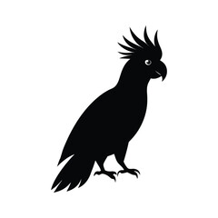   Cockatoo silhouette vector illustration 