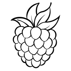 a detailed outline drawing of a raspberry with leaves, perfect for coloring or design projects