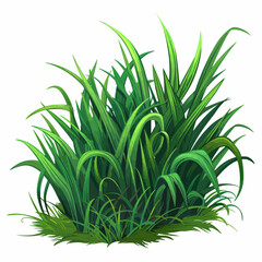 Obraz premium green grass isolated on white background