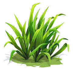 Obraz premium green grass isolated on white