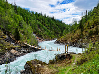 Scenic view of a raging mountain river embedded in a green scenery with trees and a wooden suspension bridge crossing the river in Norway
