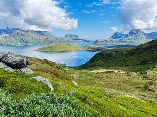 Scenic view of green landscape in the Lofoten with sea water and mountains against sky