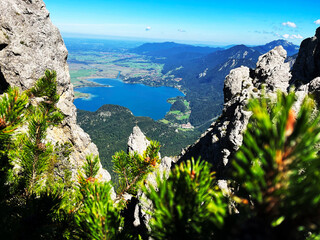 Scenic view of mountains and lake against blue sky with blurred pine trees in the foreground