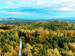 Scenic view of colorful autumn forest against sky with a street going into the forest in Germany