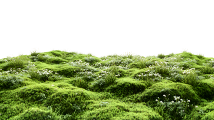 Green Moss Landscape Isolated on Transparent Background. Green moss on the ground.