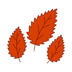 Fototapeta premium Autumn Leaves Illustration
