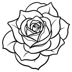 Elegant Rose Contour Drawing in Monochrome Style Representing Floral Beauty with Copy Space