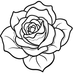 Delicate Rose Line Art in Monochrome Style Representing Natural Grace with Copy Space