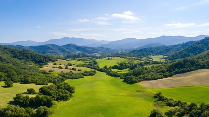 Aerial View of Vibrant Reforested Landscape with Lush Greenery and Mountainous Backdrop