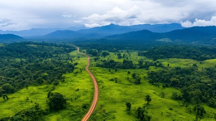 Fototapeta premium Aerial View of Lush Reforested Landscape with Vibrant Greenery and Scenic Mountain Backdrop