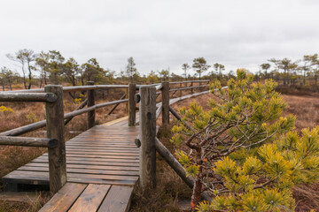 
A wooden boardwalk with railings that winds through a swampy area.