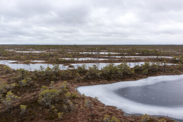 
a vast marsh landscape with many small water-covered areas and conifers.