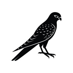   Kestrel silhouette vector illustration 