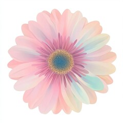 Fototapeta premium Gerbera flower illustration pastel.