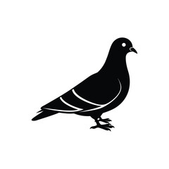  Pigeon  silhouette vector illustration 
