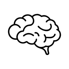 brain