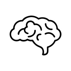 brain
