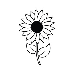 Sun flower  line art vector illustration 