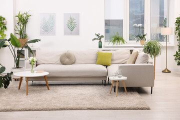 Feng shui. Stylish room with comfortable couch and houseplants