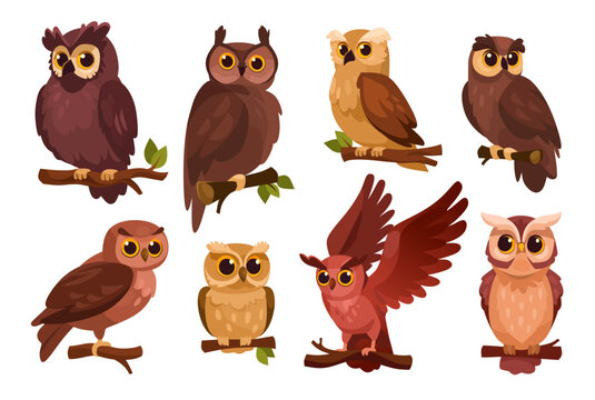 Cute owl collection featuring different owl species perched on branches. Cartoon vector bird set with forest wildlife characters, woodland animals, nature mascots and educational illustrations.