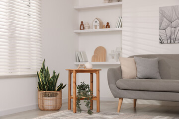 Stylish furniture, houseplants and different decor in light living room. Interior design