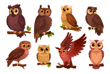 Set of cartoon owls in flat design. Collection of various owl species. Stylized forest birds perched on branches, including owls and eagle-owls, isolated on a white background. Vector illustration.