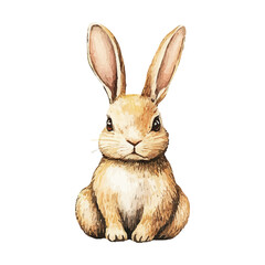 Watercolor Long Ear Hare In Natural State Sitting Front View