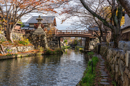 Scenic sight of Hachiman-bori canal in Omihachiman during fall season. Kansai region, Shiga Prefecture, Japan.