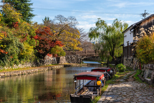 Scenic sight of Hachiman-bori canal in Omihachiman during fall season. Kansai region, Shiga Prefecture, Japan.