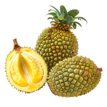 Whole and cut tarap fruits isolated on white background