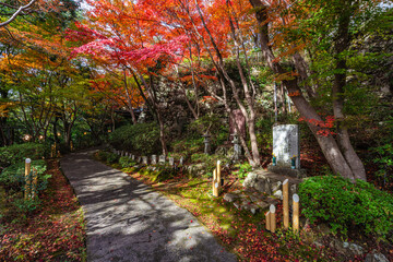 Scenic sight in Murakumo Zuiryu Temple in Omihachiman during fall season. Kansai region, Shiga Prefecture, Japan.