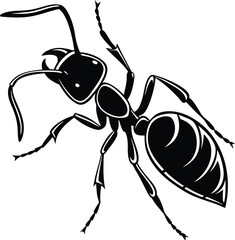 ant vector illustration