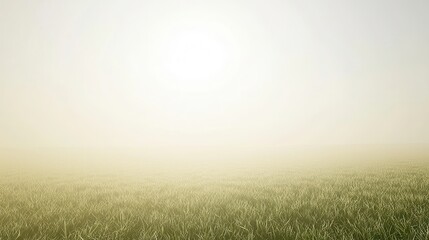 Serene Meadow Misty Morning Soft Light Grassy Field