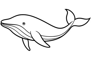 Abstract Whale Line Drawing