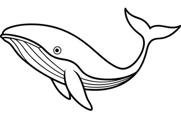 Fototapeta premium Abstract Whale Line Drawing
