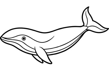 Abstract Whale Line Drawing