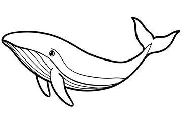 Abstract Whale Line Drawing