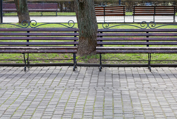 The photograph shows a city park with benches located along a path. The benches have wooden seats...