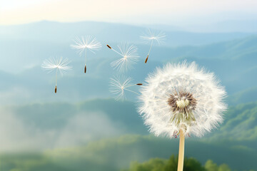 Obraz premium A dandelion in full bloom, its ethereal seeds drifting gently through the air, symbolizing boundless potential for new beginnings and the promise of a brighter future