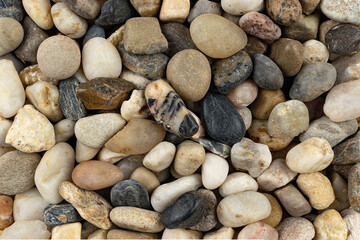 Textures of beach pebbles in various shapes and colors